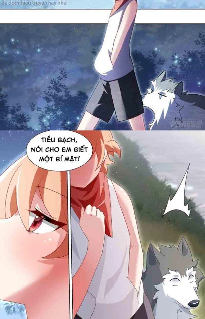 Trọng Sinh Thành Chó Của Nữ Thần Chapter 183 - Trang 2