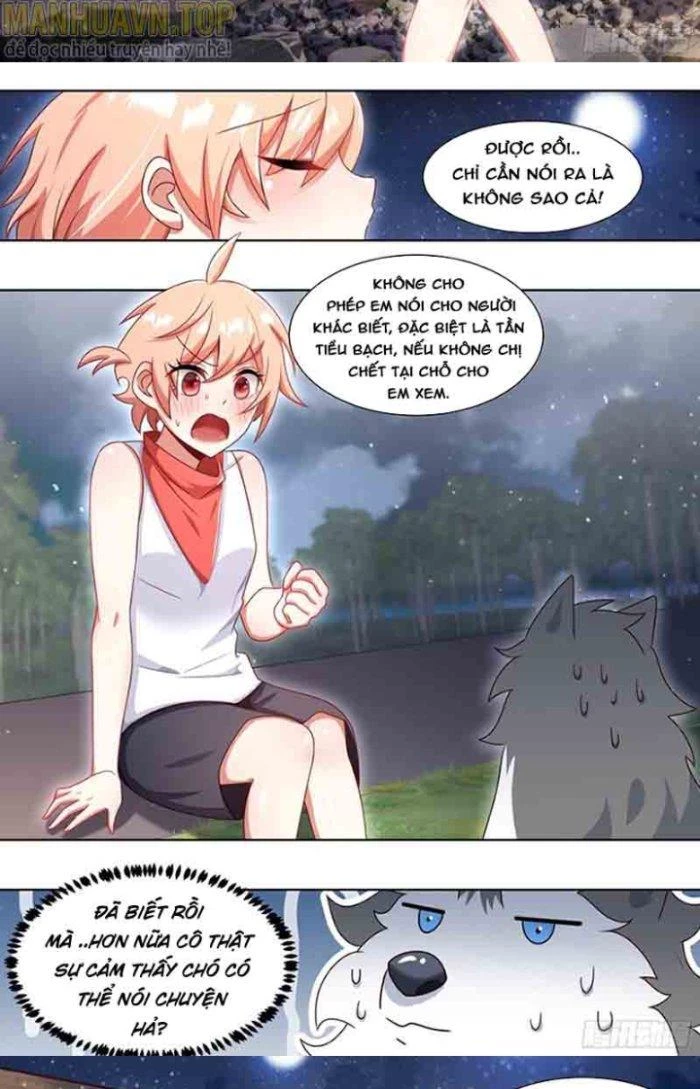 Trọng Sinh Thành Chó Của Nữ Thần Chapter 183 - Trang 2