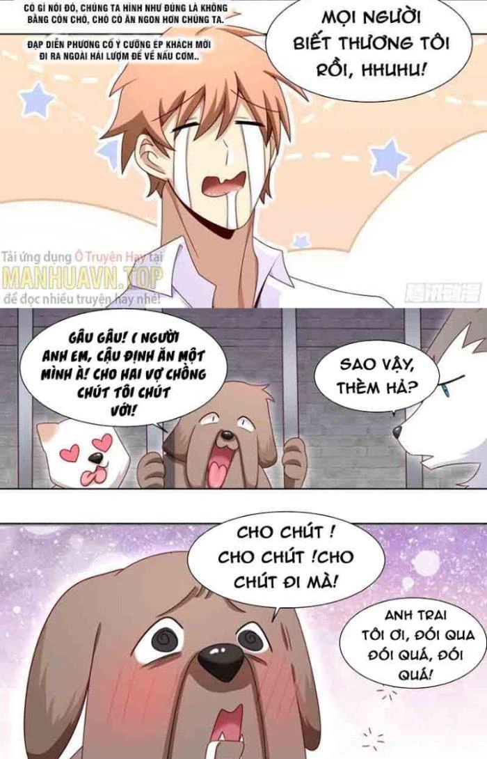 Trọng Sinh Thành Chó Của Nữ Thần Chapter 184 - Trang 2