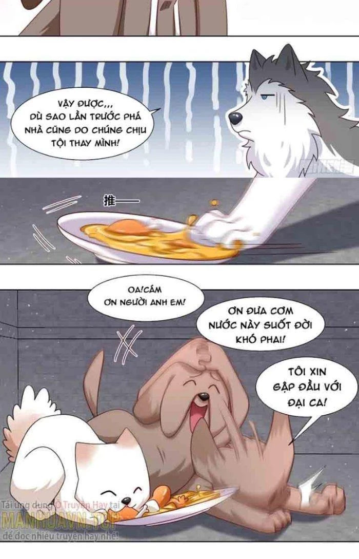Trọng Sinh Thành Chó Của Nữ Thần Chapter 184 - Trang 2