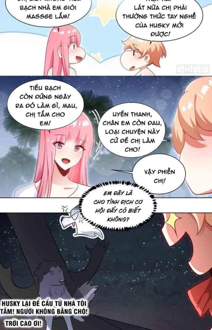 Trọng Sinh Thành Chó Của Nữ Thần Chapter 186 - Trang 2