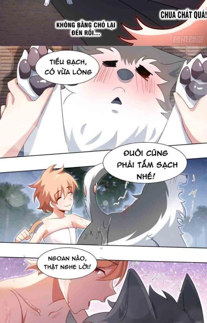 Trọng Sinh Thành Chó Của Nữ Thần Chapter 186 - Trang 2