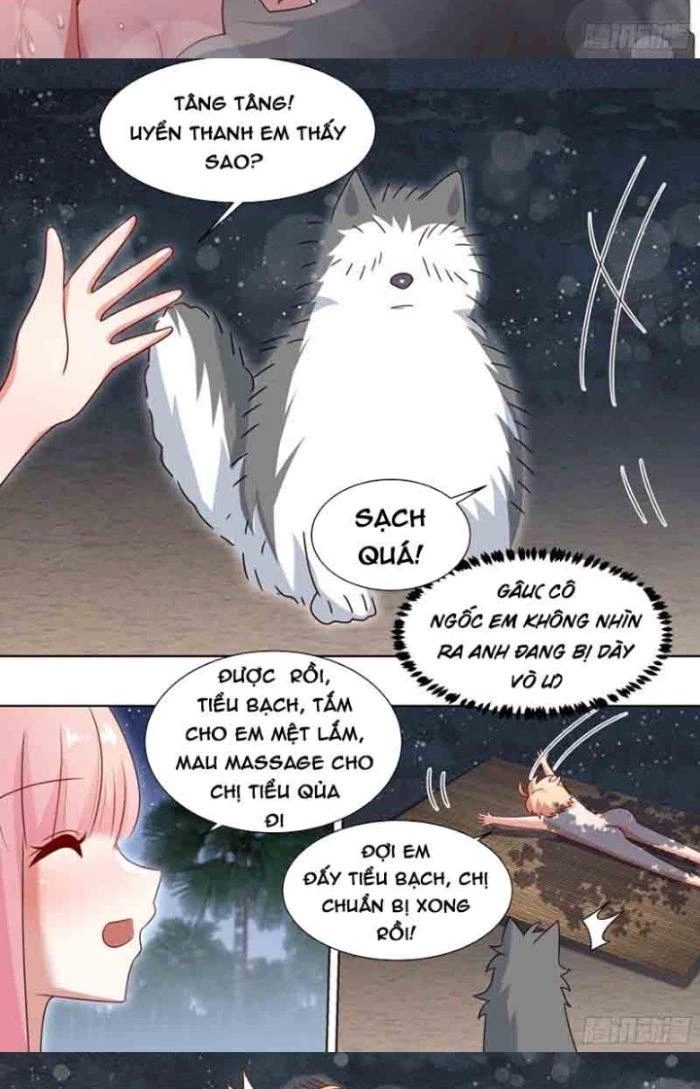 Trọng Sinh Thành Chó Của Nữ Thần Chapter 186 - Trang 2