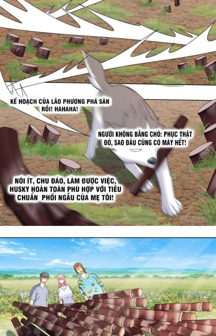 Trọng Sinh Thành Chó Của Nữ Thần Chapter 188 - Trang 2
