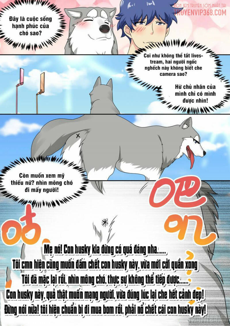 Trọng Sinh Thành Chó Của Nữ Thần Chapter 19 - Trang 2