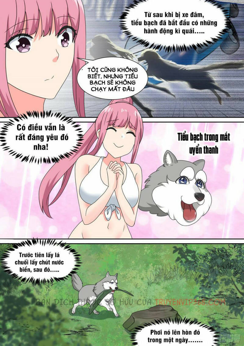 Trọng Sinh Thành Chó Của Nữ Thần Chapter 19 - Trang 2