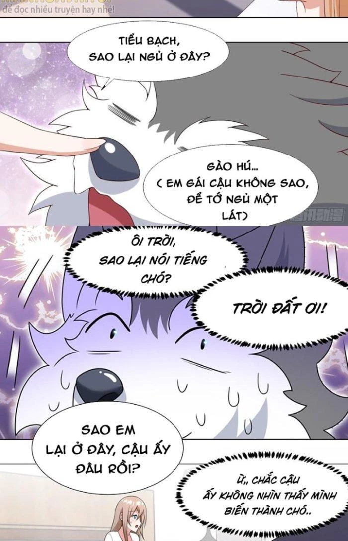 Trọng Sinh Thành Chó Của Nữ Thần Chapter 196 - Trang 2