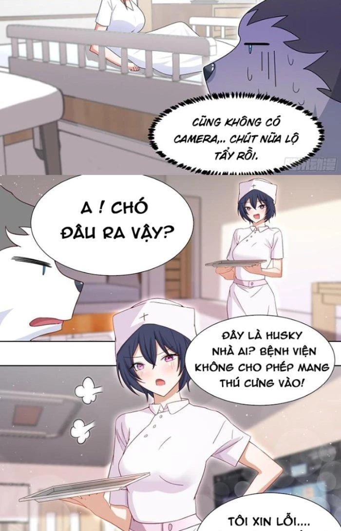 Trọng Sinh Thành Chó Của Nữ Thần Chapter 196 - Trang 2