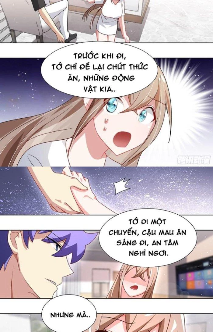 Trọng Sinh Thành Chó Của Nữ Thần Chapter 197 - Trang 2