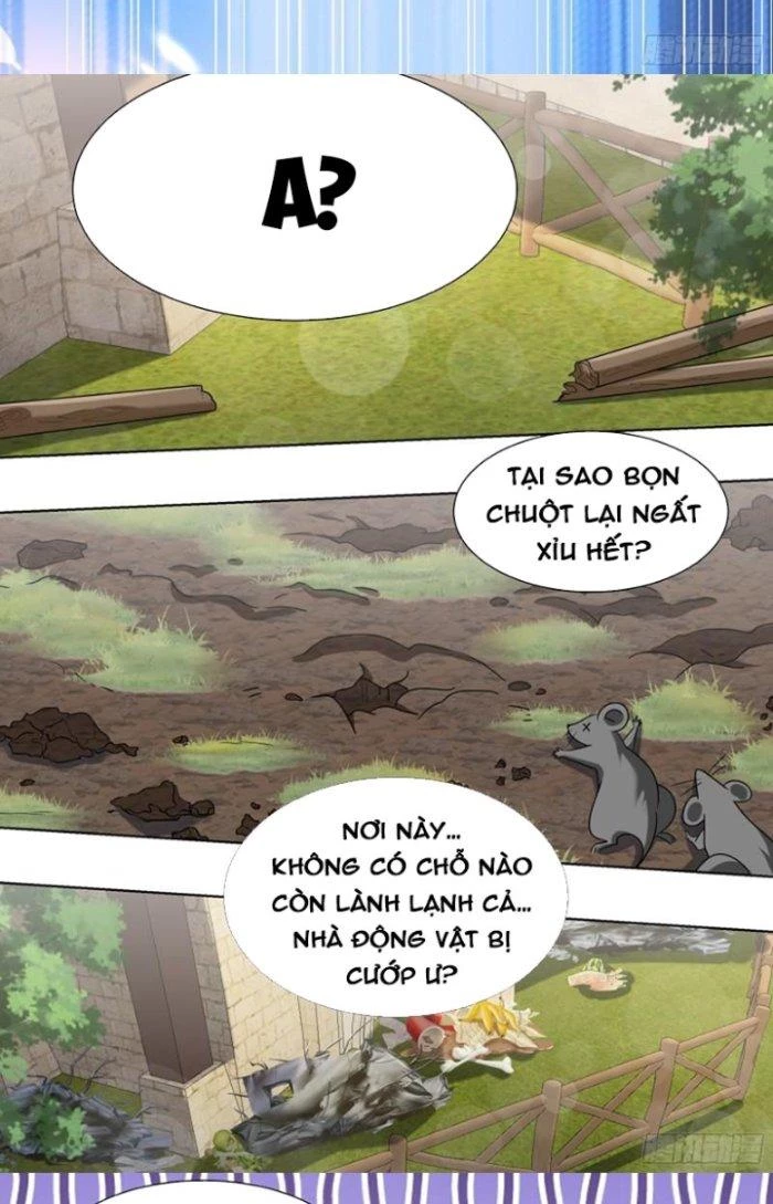 Trọng Sinh Thành Chó Của Nữ Thần Chapter 197 - Trang 2