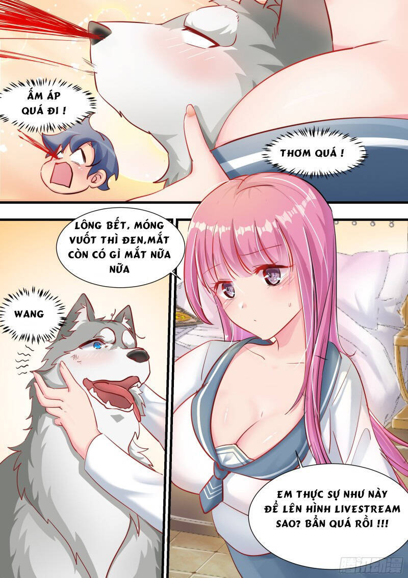 Trọng Sinh Thành Chó Của Nữ Thần Chapter 2 - Trang 2