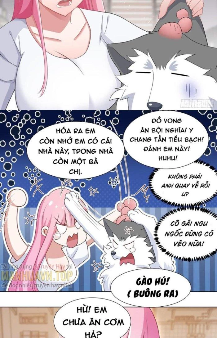 Trọng Sinh Thành Chó Của Nữ Thần Chapter 203 - Trang 2