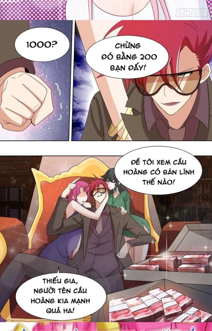 Trọng Sinh Thành Chó Của Nữ Thần Chapter 204 - Trang 2