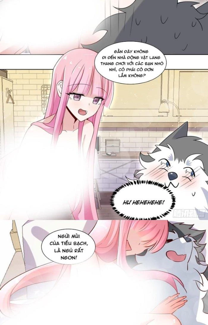 Trọng Sinh Thành Chó Của Nữ Thần Chapter 206 - Trang 2