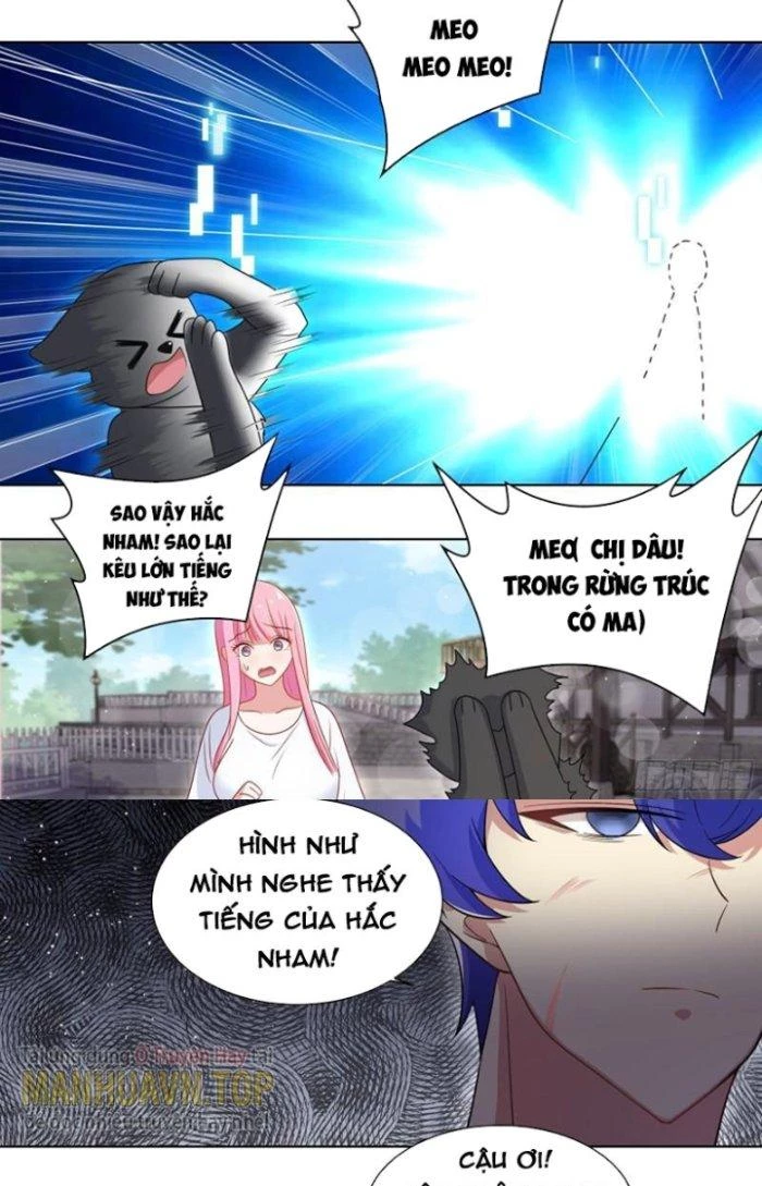 Trọng Sinh Thành Chó Của Nữ Thần Chapter 209 - Trang 2