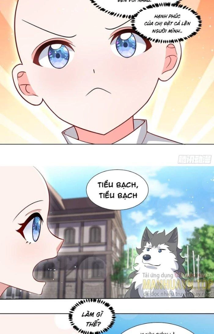 Trọng Sinh Thành Chó Của Nữ Thần Chapter 216 - Trang 2