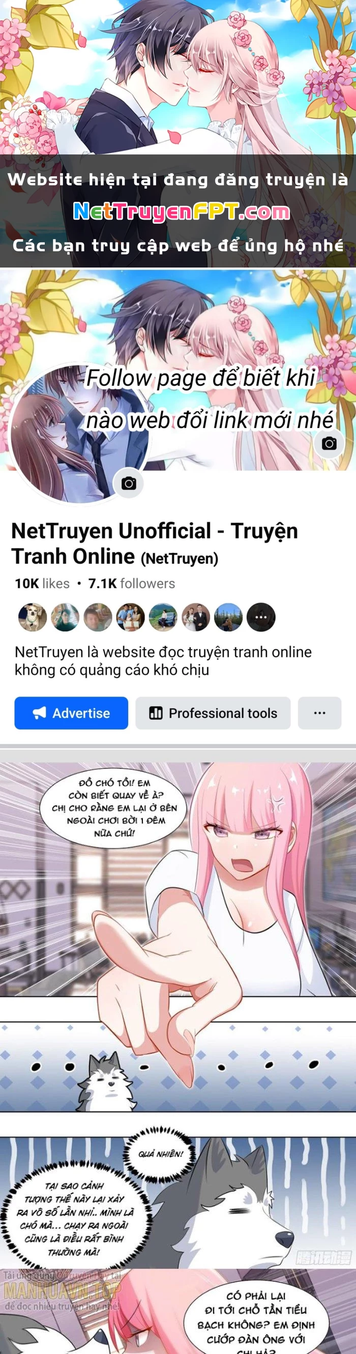 Trọng Sinh Thành Chó Của Nữ Thần Chapter 219 - Trang 2