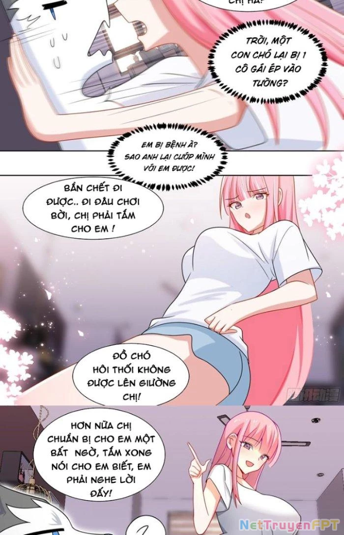 Trọng Sinh Thành Chó Của Nữ Thần Chapter 219 - Trang 2