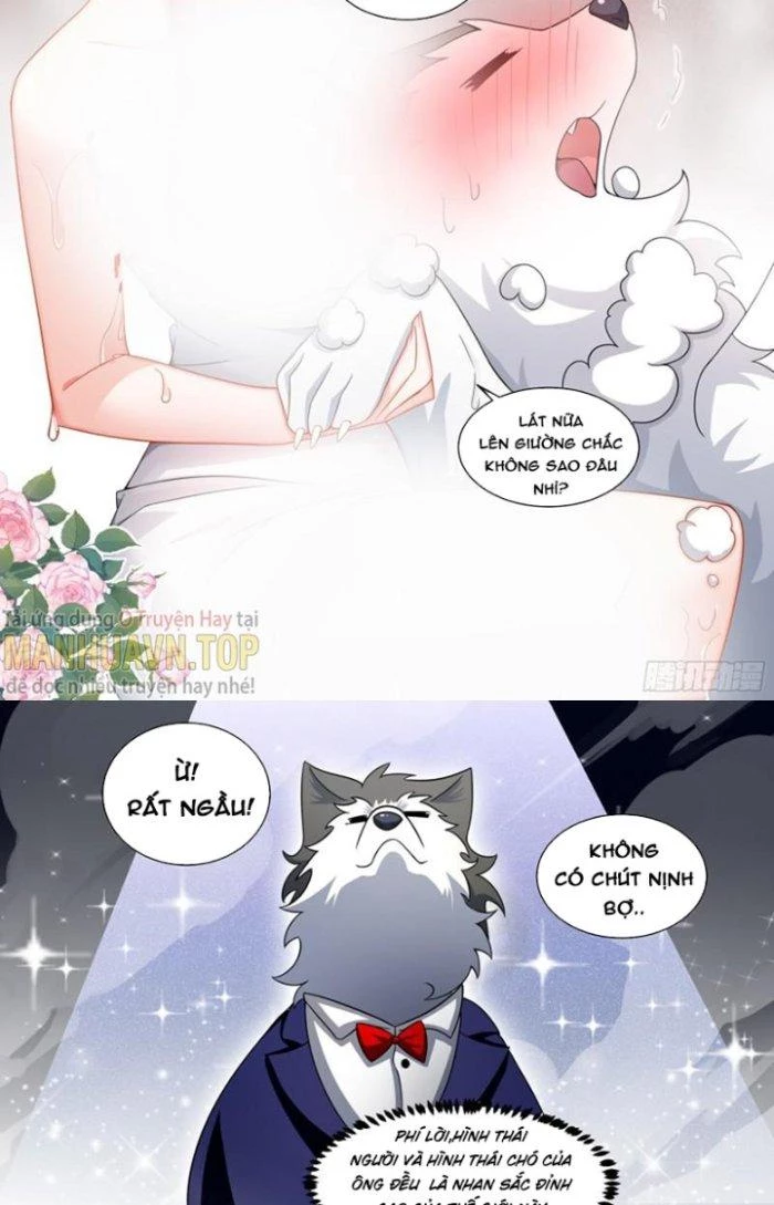 Trọng Sinh Thành Chó Của Nữ Thần Chapter 219 - Trang 2