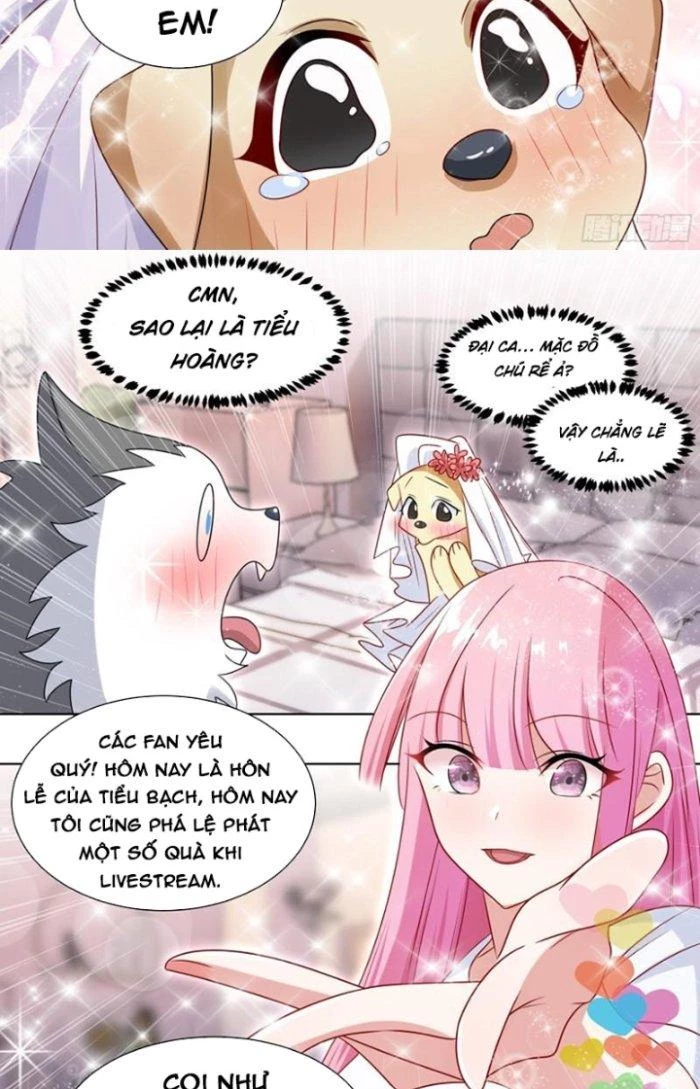 Trọng Sinh Thành Chó Của Nữ Thần Chapter 219 - Trang 2