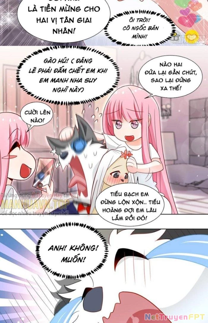 Trọng Sinh Thành Chó Của Nữ Thần Chapter 219 - Trang 2