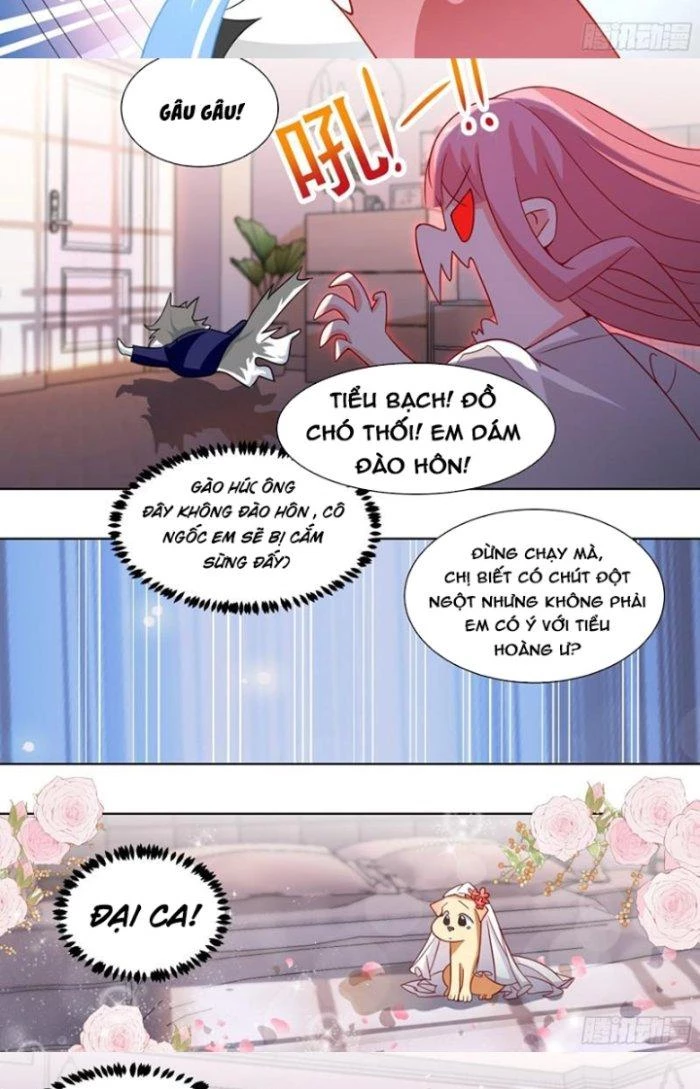Trọng Sinh Thành Chó Của Nữ Thần Chapter 219 - Trang 2