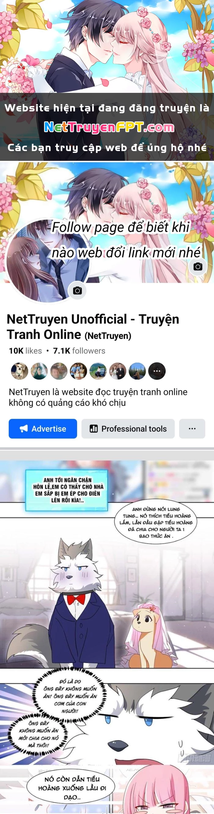 Trọng Sinh Thành Chó Của Nữ Thần Chapter 220 - Trang 2