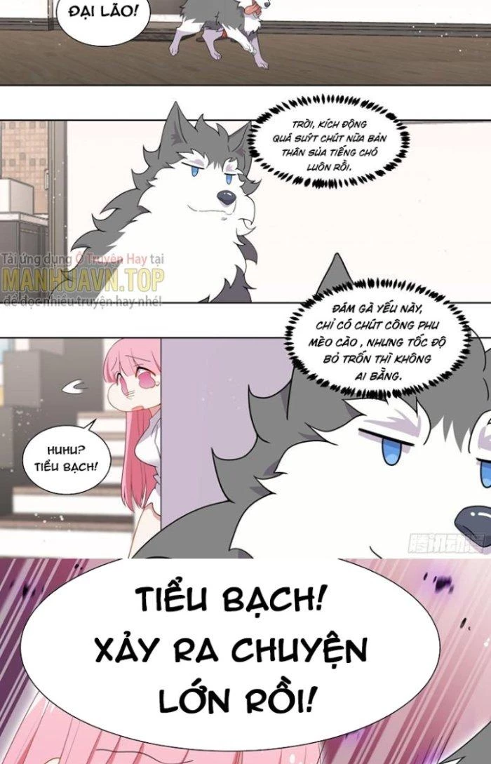 Trọng Sinh Thành Chó Của Nữ Thần Chapter 227 - Trang 2
