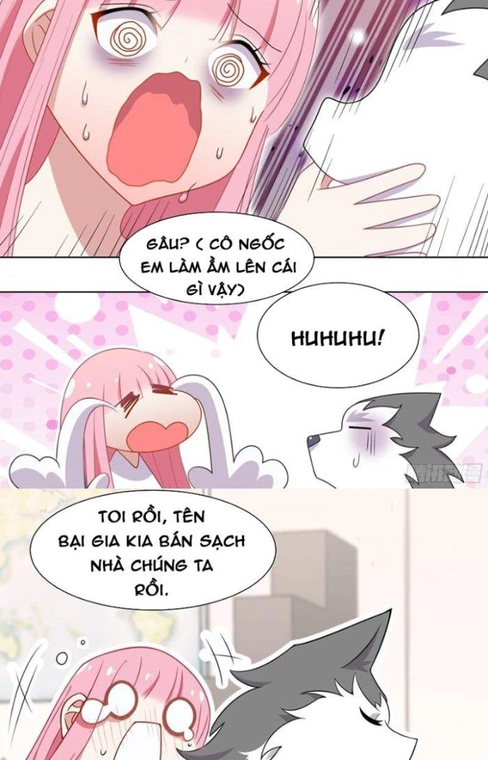 Trọng Sinh Thành Chó Của Nữ Thần Chapter 227 - Trang 2