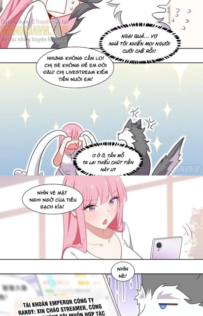 Trọng Sinh Thành Chó Của Nữ Thần Chapter 227 - Trang 2