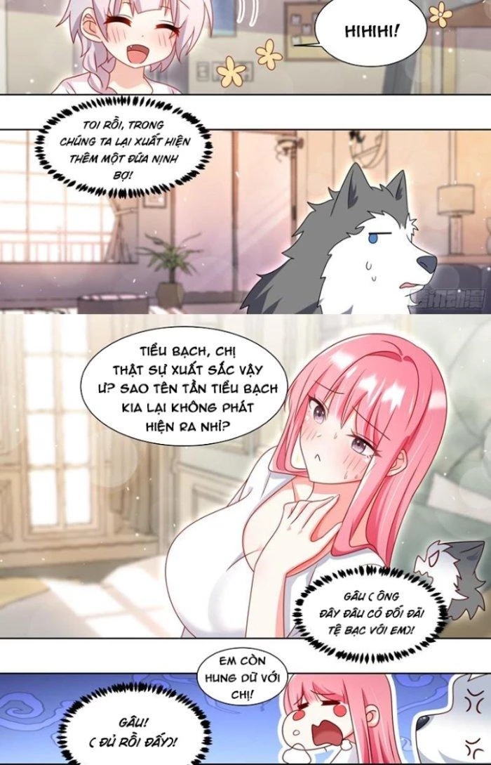 Trọng Sinh Thành Chó Của Nữ Thần Chapter 228 - Trang 2
