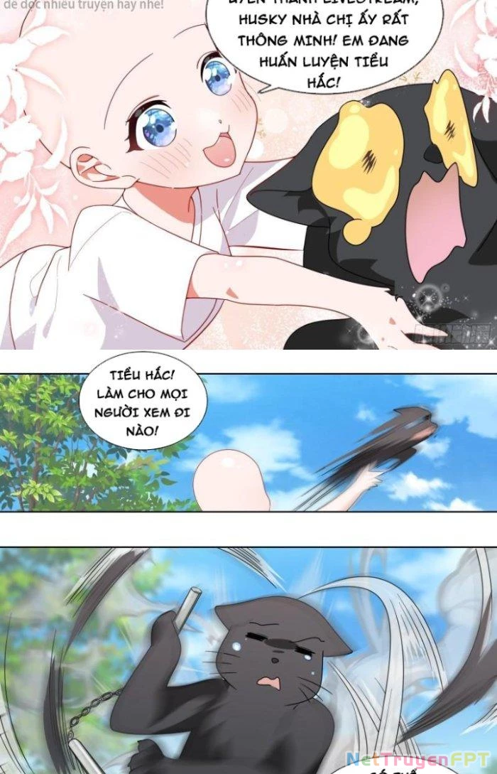 Trọng Sinh Thành Chó Của Nữ Thần Chapter 229 - Trang 2