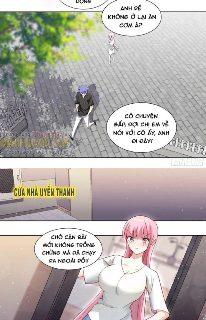 Trọng Sinh Thành Chó Của Nữ Thần Chapter 231 - Trang 2