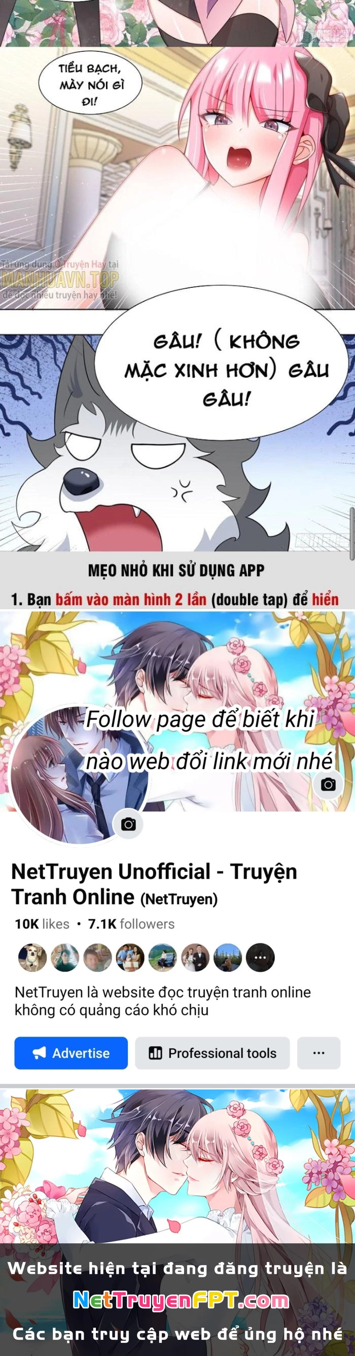 Trọng Sinh Thành Chó Của Nữ Thần Chapter 231 - Trang 2
