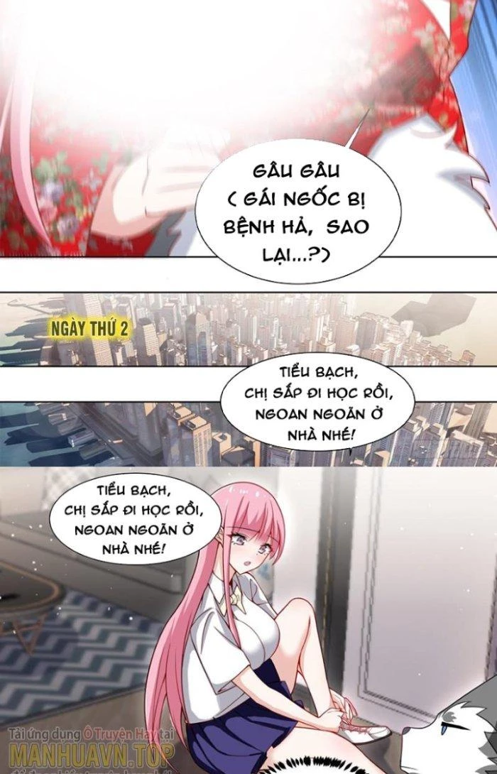 Trọng Sinh Thành Chó Của Nữ Thần Chapter 232 - Trang 2