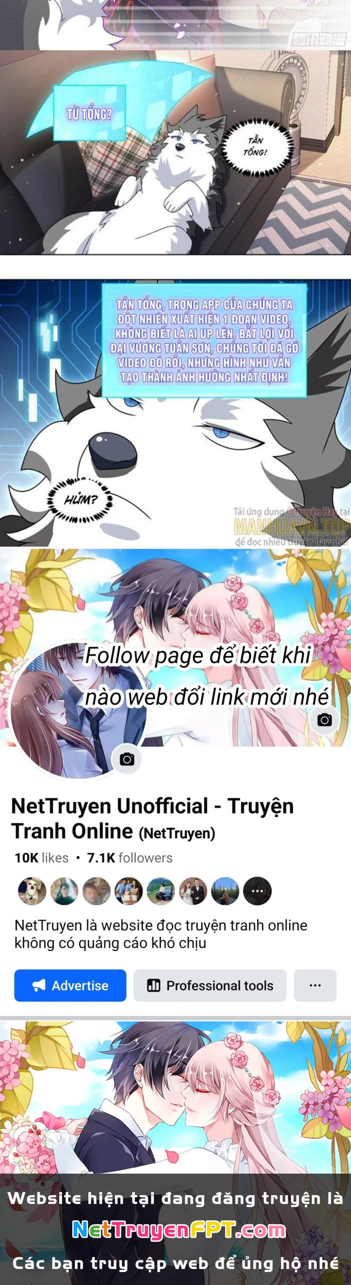 Trọng Sinh Thành Chó Của Nữ Thần Chapter 233 - Trang 2