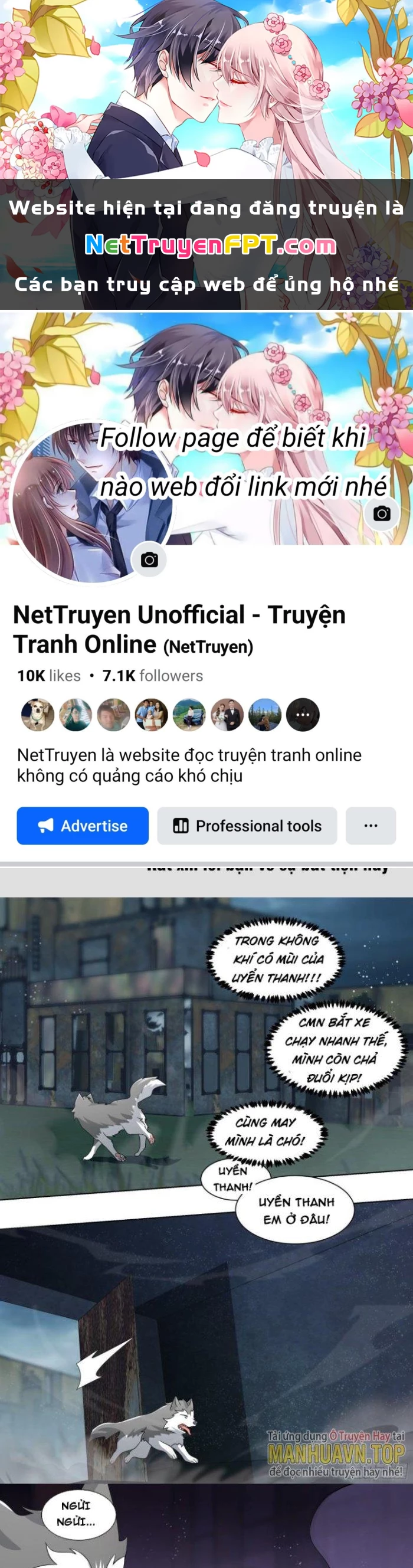 Trọng Sinh Thành Chó Của Nữ Thần Chapter 239 - Trang 2