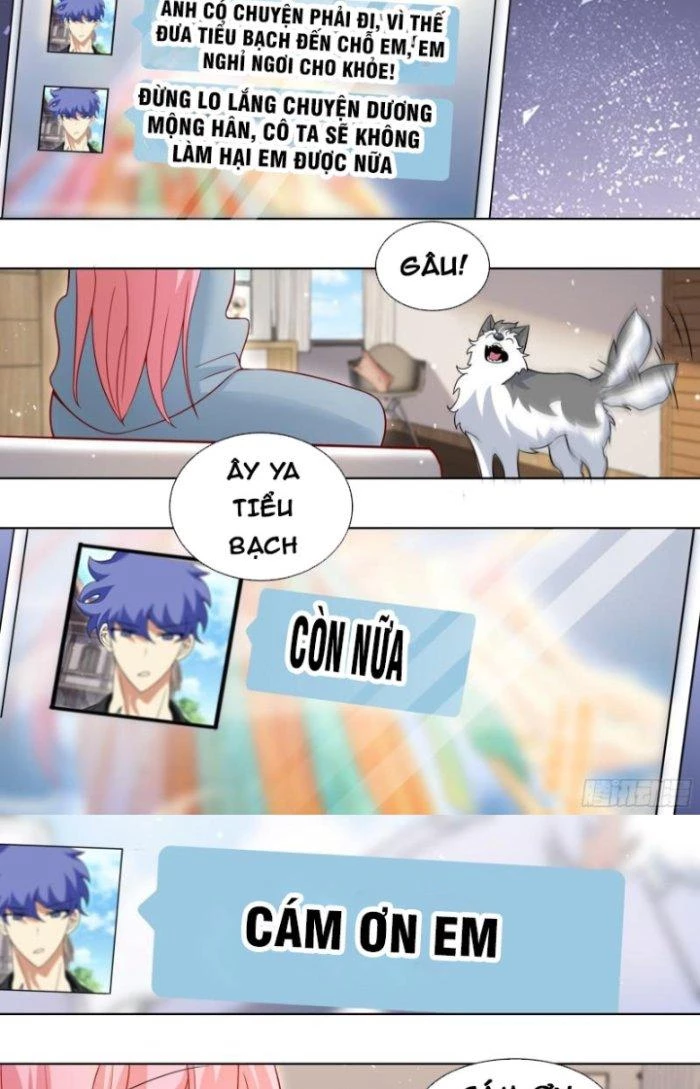 Trọng Sinh Thành Chó Của Nữ Thần Chapter 241 - Trang 2
