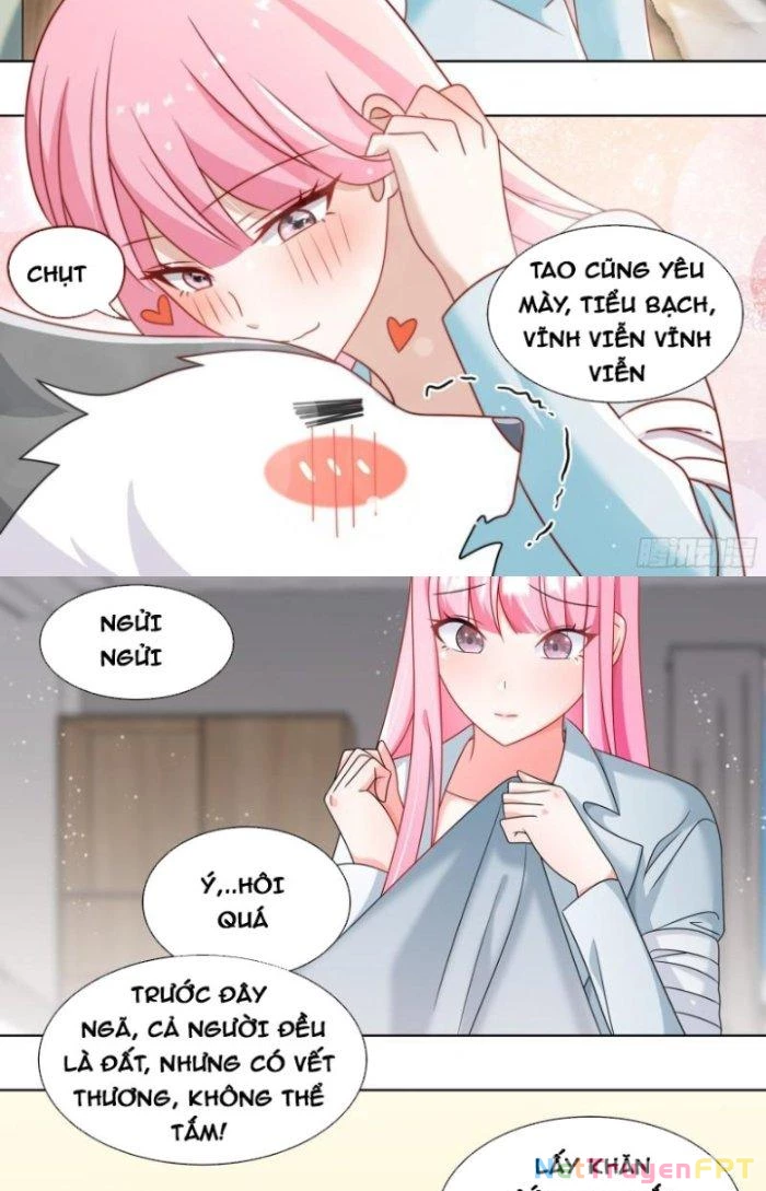 Trọng Sinh Thành Chó Của Nữ Thần Chapter 241 - Trang 2