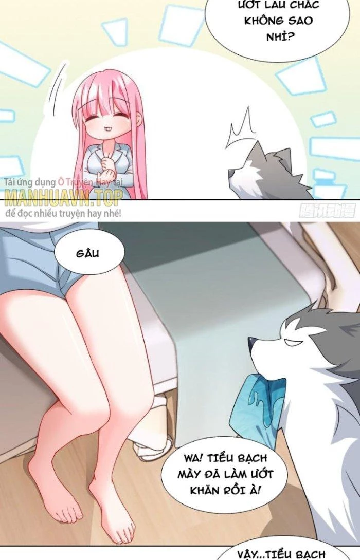 Trọng Sinh Thành Chó Của Nữ Thần Chapter 241 - Trang 2