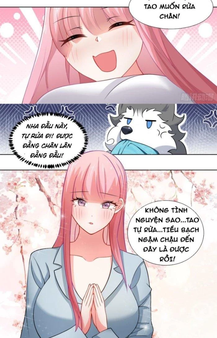 Trọng Sinh Thành Chó Của Nữ Thần Chapter 241 - Trang 2