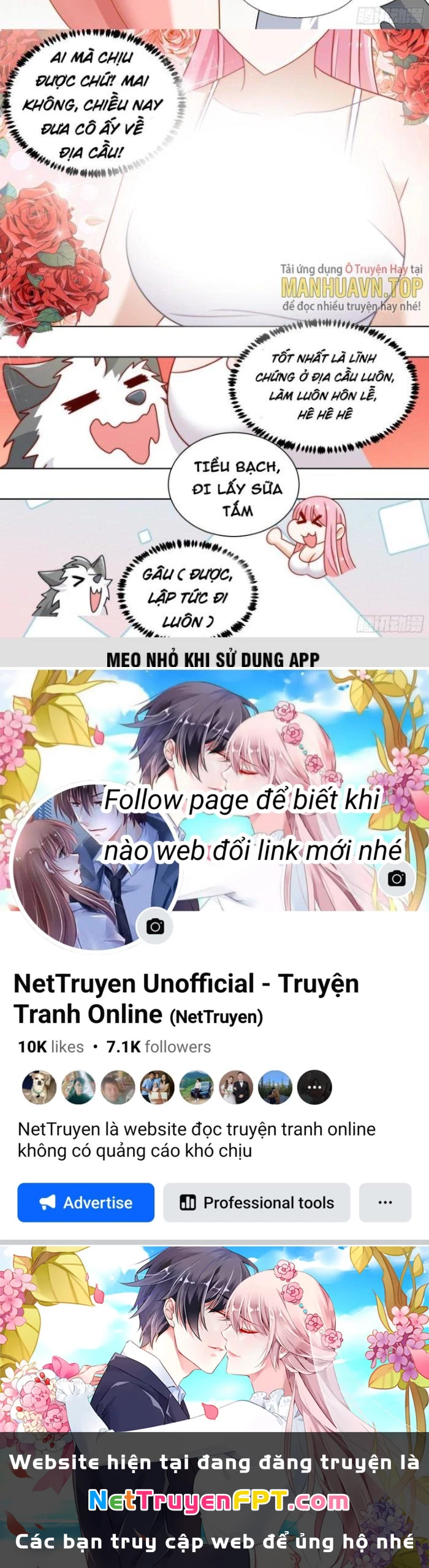 Trọng Sinh Thành Chó Của Nữ Thần Chapter 241 - Trang 2