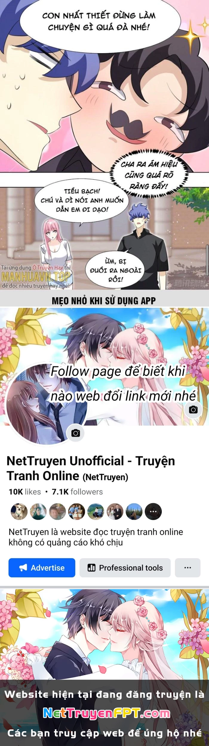 Trọng Sinh Thành Chó Của Nữ Thần Chapter 244 - Trang 2