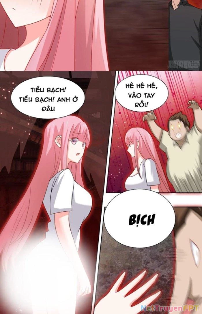 Trọng Sinh Thành Chó Của Nữ Thần Chapter 248 - Trang 2
