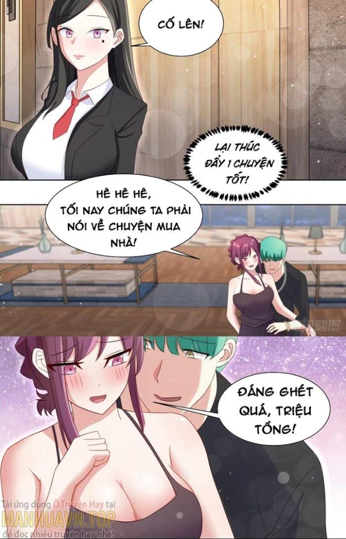 Trọng Sinh Thành Chó Của Nữ Thần Chapter 249 - Trang 2