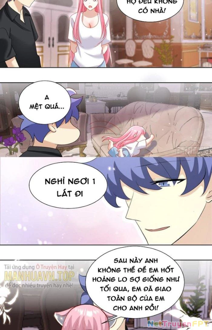 Trọng Sinh Thành Chó Của Nữ Thần Chapter 252 - Trang 2