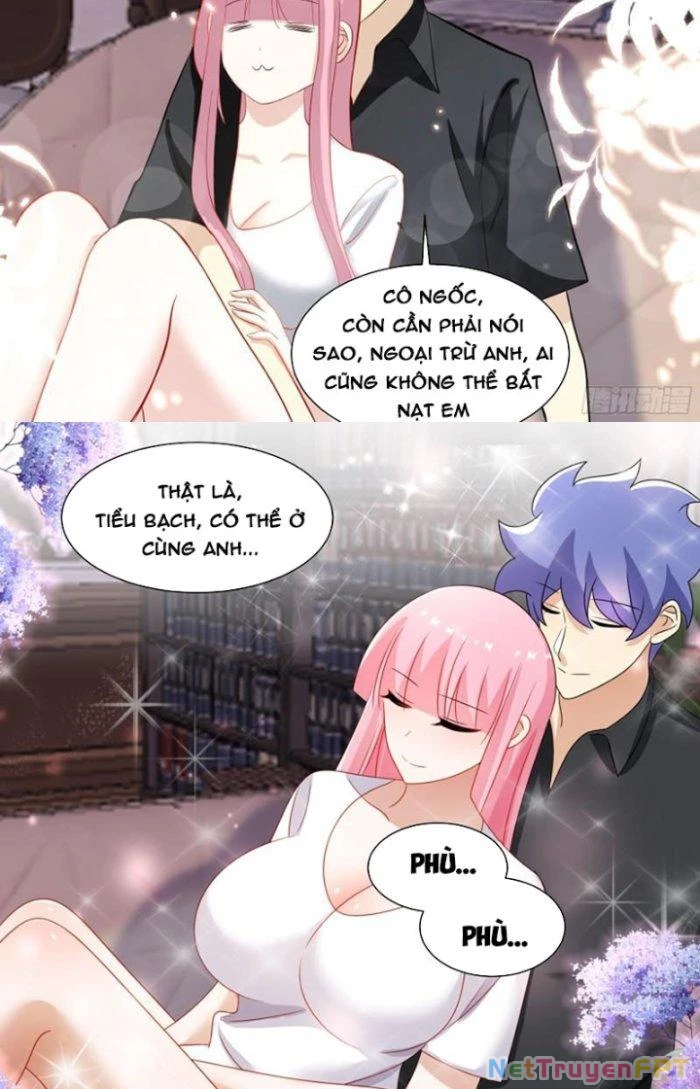Trọng Sinh Thành Chó Của Nữ Thần Chapter 252 - Trang 2