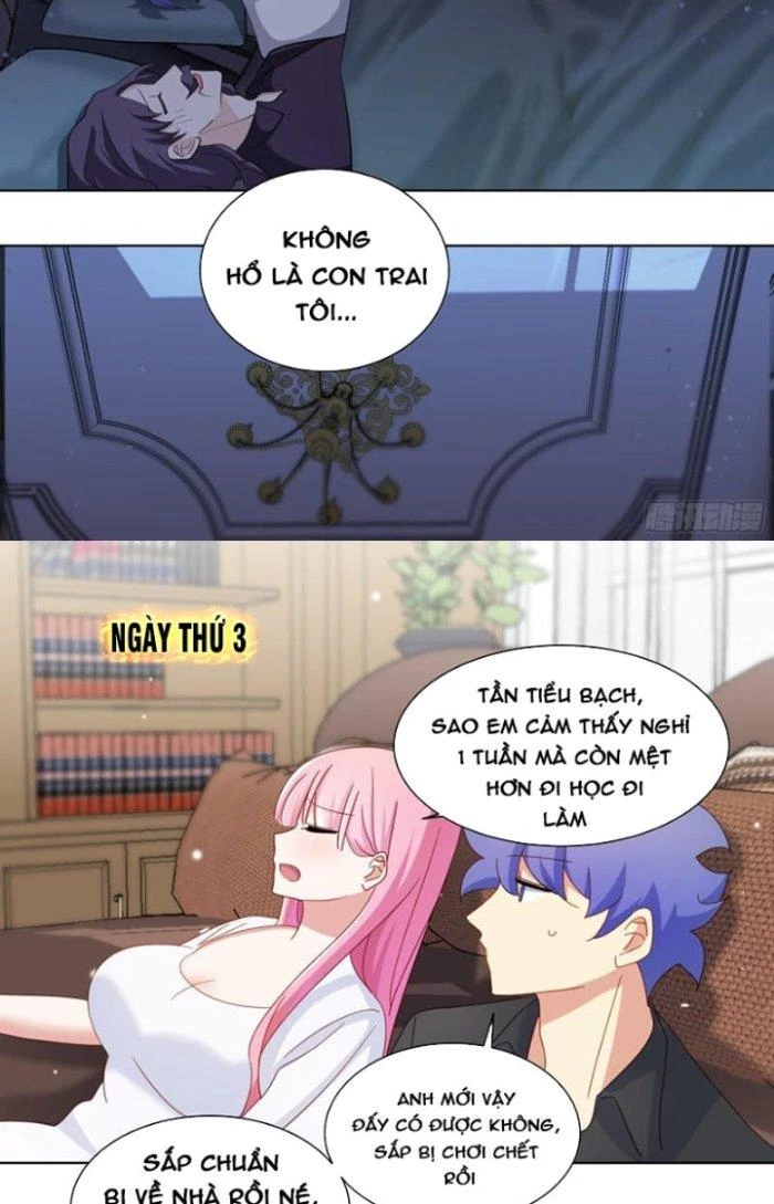 Trọng Sinh Thành Chó Của Nữ Thần Chapter 254 - Trang 2