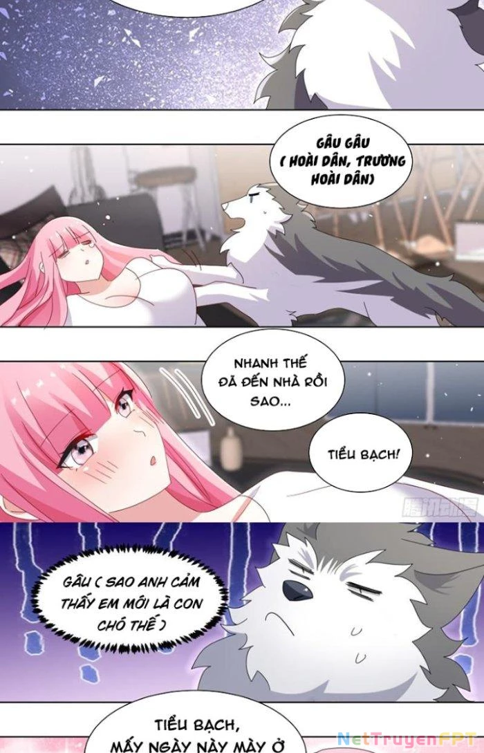 Trọng Sinh Thành Chó Của Nữ Thần Chapter 255 - Trang 2