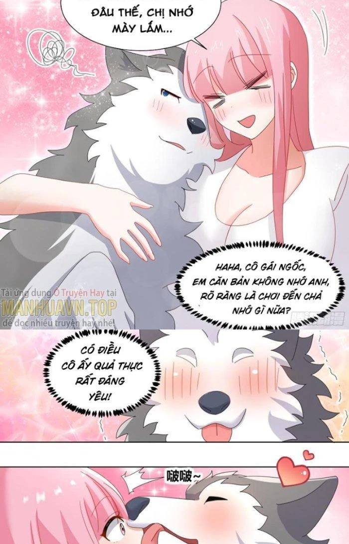 Trọng Sinh Thành Chó Của Nữ Thần Chapter 255 - Trang 2